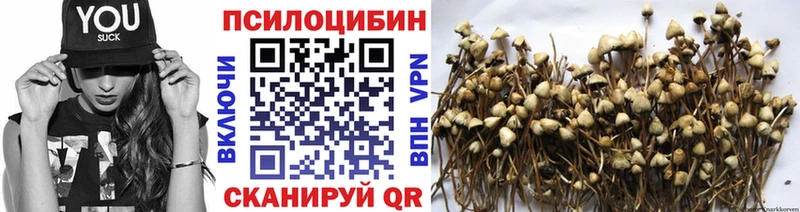 Псилоцибиновые грибы мицелий  где купить наркотик  Каспийск 