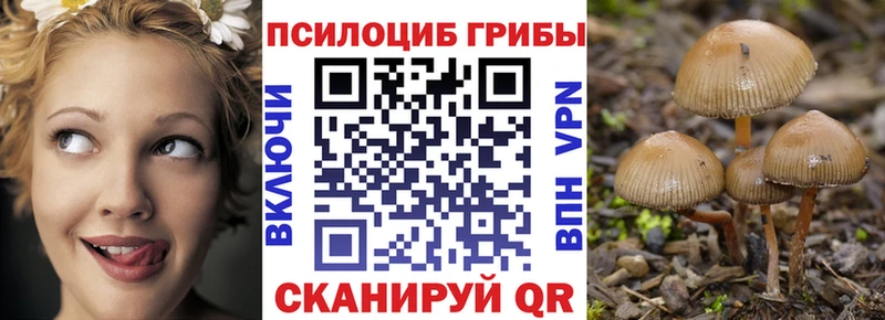 Галлюциногенные грибы мицелий Каспийск